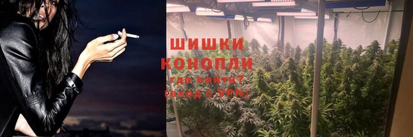 индика Киренск