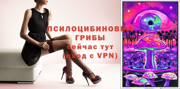 индика Киренск