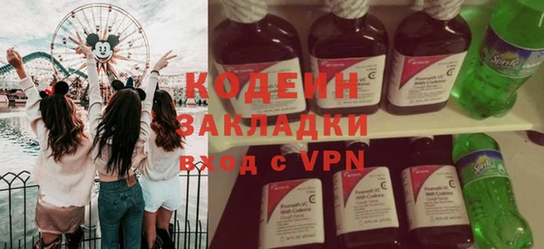 индика Киренск