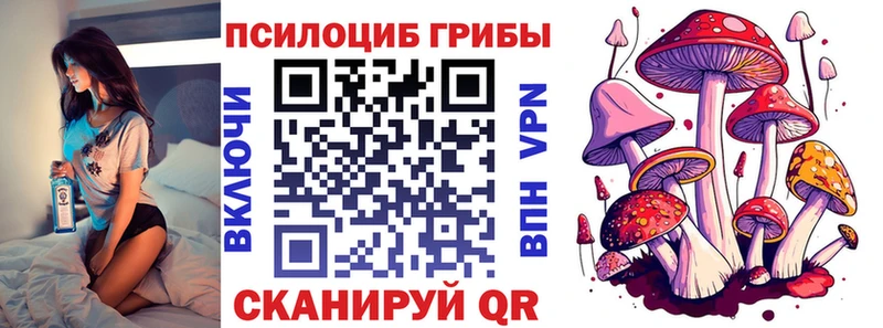 Купить закладки  Арск  Галлюциногенные грибы Psilocybe 